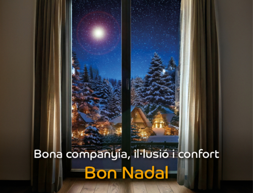 Bones festes