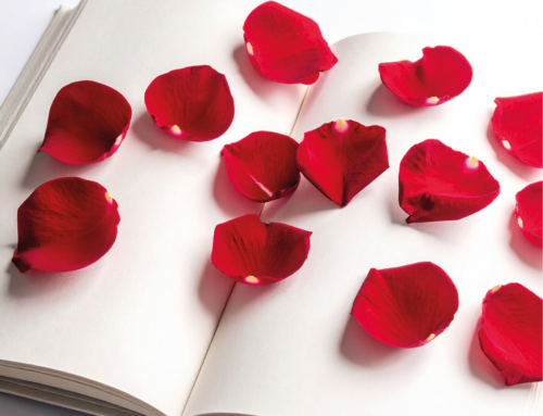 Bona diada de Sant Jordi